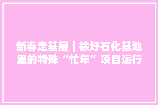 新春走基层｜徐圩石化基地里的特殊“忙年”项目运行平稳春节心就安稳