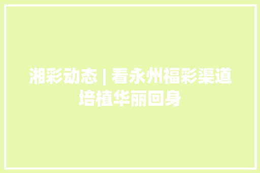 湘彩动态 | 看永州福彩渠道培植华丽回身