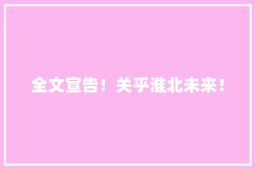 全文宣告！关乎淮北未来！
