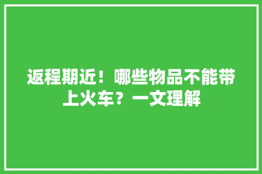 返程期近！哪些物品不能带上火车？一文理解