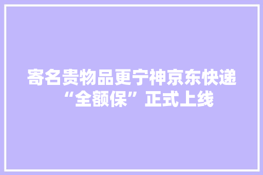 寄名贵物品更宁神京东快递“全额保”正式上线