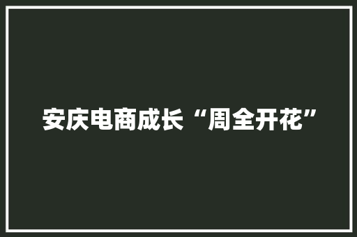 安庆电商成长“周全开花” 互联通信