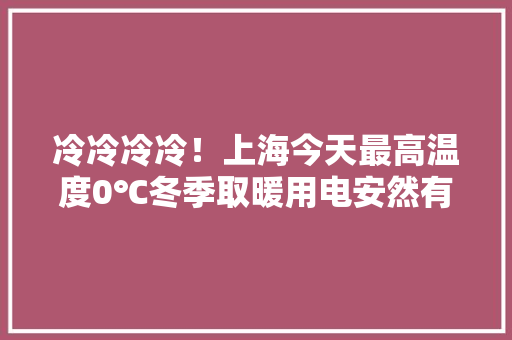 冷冷冷冷！上海今天最高温度0℃冬季取暖用电安然有讲究！专业人士提醒→