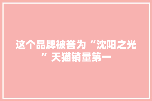 这个品牌被誉为“沈阳之光”天猫销量第一