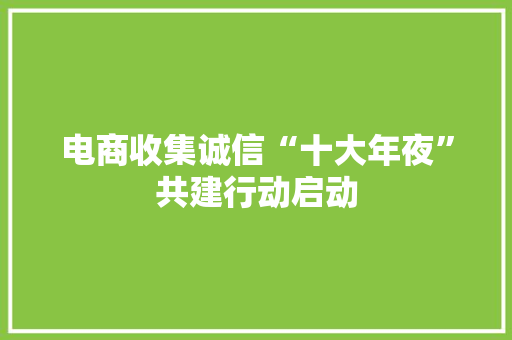电商收集诚信“十大年夜”共建行动启动