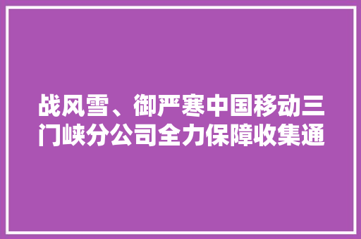 战风雪、御严寒中国移动三门峡分公司全力保障收集通顺