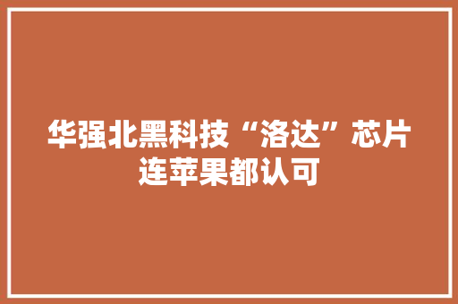 华强北黑科技“洛达”芯片连苹果都认可