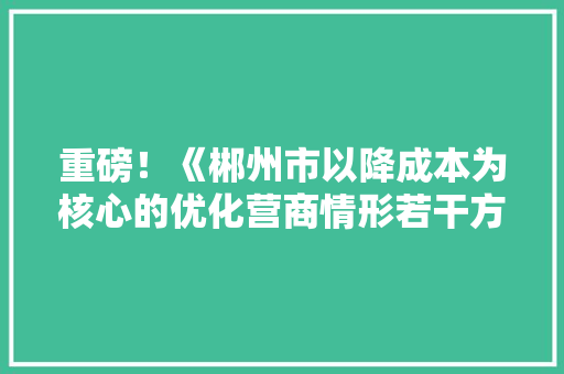 重磅！《郴州市以降成本为核心的优化营商情形若干方法》39条来了（附全文）