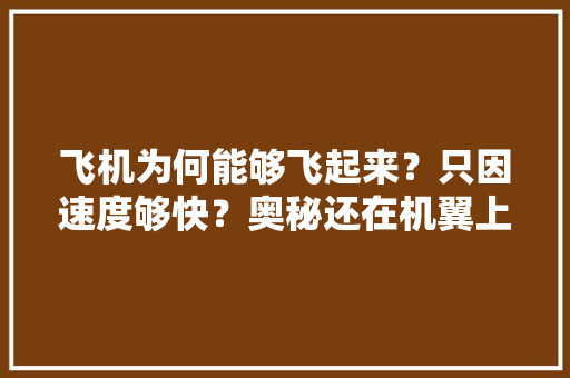 飞机为何能够飞起来？只因速度够快？奥秘还在机翼上 飞机为何能够飞起来？只因速度够快？奥秘还在机翼上 智能家居
