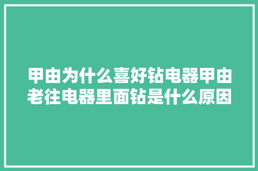 甲由为什么喜好钻电器甲由老往电器里面钻是什么原因？
