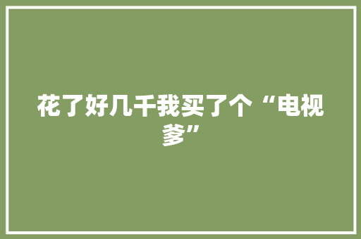 花了好几千我买了个“电视爹”