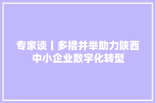 专家谈丨多措并举助力陕西中小企业数字化转型