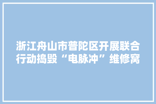 浙江舟山市普陀区开展联合行动捣毁“电脉冲”维修窝点