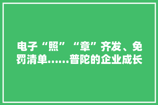 电子“照”“章”齐发、免罚清单……普陀的企业成长“途径”宽了“步子”大年夜了