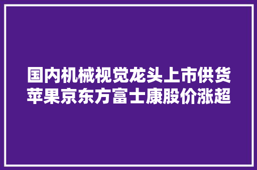 国内机械视觉龙头上市供货苹果京东方富士康股价涨超55%