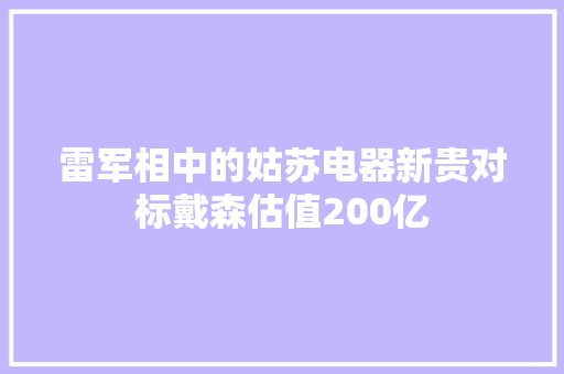 雷军相中的姑苏电器新贵对标戴森估值200亿
