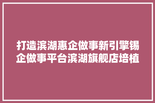 打造滨湖惠企做事新引擎锡企做事平台滨湖旗舰店培植筹划座谈会