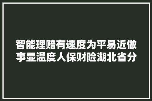 智能理赔有速度为平易近做事显温度人保财险湖北省分公司与您温暖同业