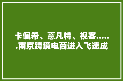 卡佩希、薏凡特、视客......南京跨境电商进入飞速成长时期