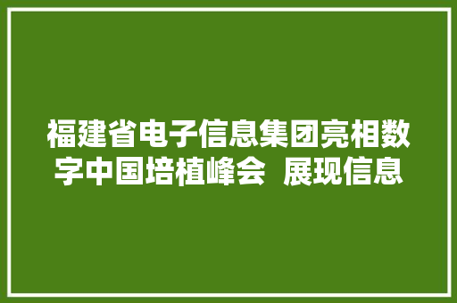 福建省电子信息集团亮相数字中国培植峰会  展现信息技能应用“硬实力” 福建省电子信息集团亮相数字中国培植峰会  展现信息技能应用“硬实力” 智能家居