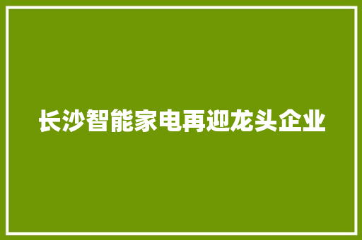 长沙智能家电再迎龙头企业
