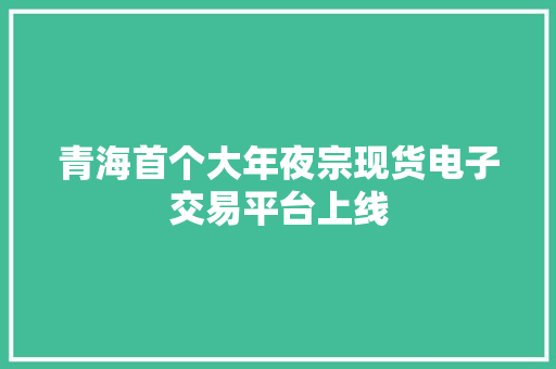 青海首个大年夜宗现货电子交易平台上线 青海首个大年夜宗现货电子交易平台上线 智能科技