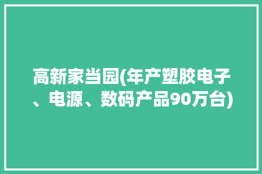 高新家当园(年产塑胶电子、电源、数码产品90万台)立案申请申报