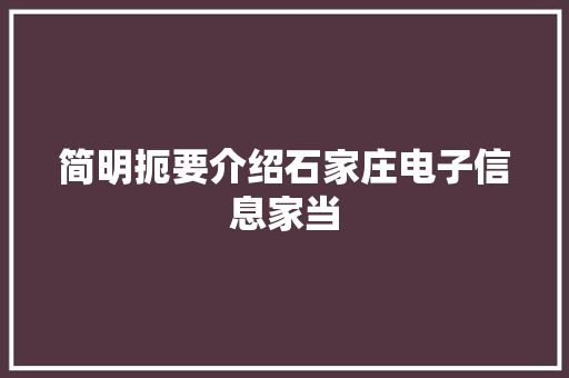 简明扼要介绍石家庄电子信息家当