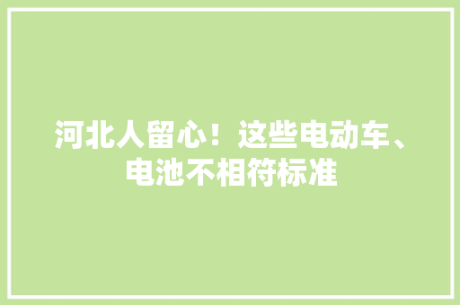 河北人留心！这些电动车、电池不相符标准
