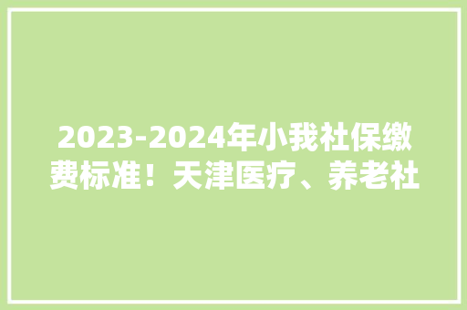2023-2024年小我社保缴费标准！天津医疗、养老社保最低缴费明细 2023-2024年小我社保缴费标准！天津医疗、养老社保最低缴费明细 智能科技