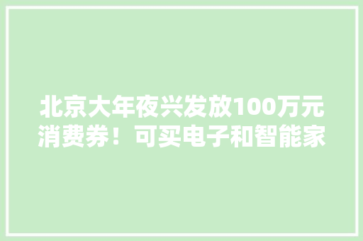 北京大年夜兴发放100万元消费券！可买电子和智能家居商品