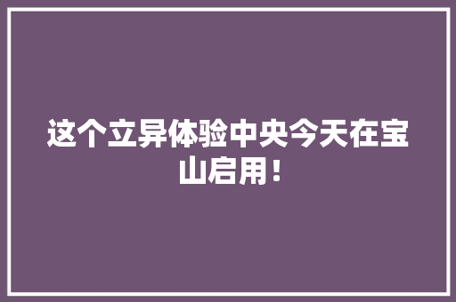 这个立异体验中央今天在宝山启用！