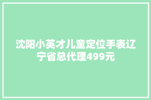 沈阳小英才儿童定位手表辽宁省总代理499元 沈阳小英才儿童定位手表辽宁省总代理499元 互联通信