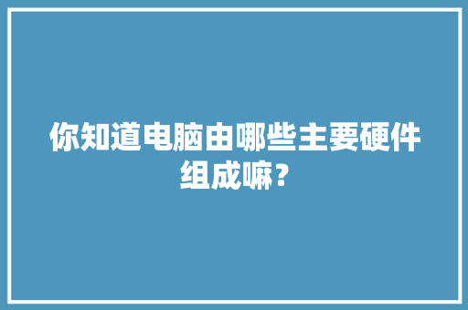你知道电脑由哪些主要硬件组成嘛？