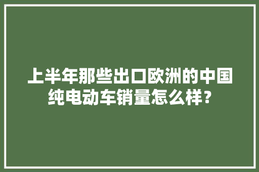 上半年那些出口欧洲的中国纯电动车销量怎么样？