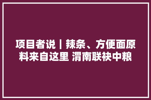 项目者说｜辣条、方便面原料来自这里 渭南联袂中粮粮谷打造这个重点项目 项目者说｜辣条、方便面原料来自这里 渭南联袂中粮粮谷打造这个重点项目 智能科技