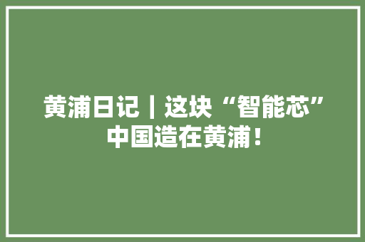 黄浦日记｜这块“智能芯”中国造在黄浦！ 黄浦日记｜这块“智能芯”中国造在黄浦！ 人工智能