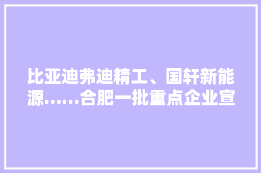 比亚迪弗迪精工、国轩新能源……合肥一批重点企业宣告招聘信息