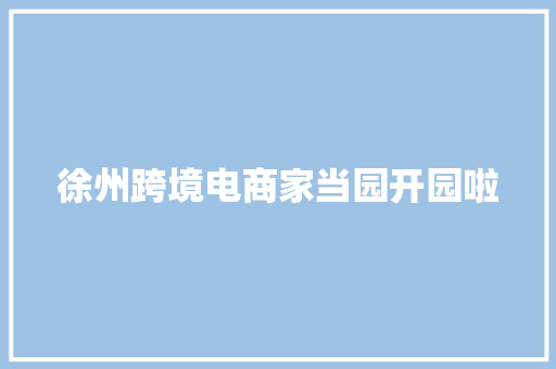徐州跨境电商家当园开园啦