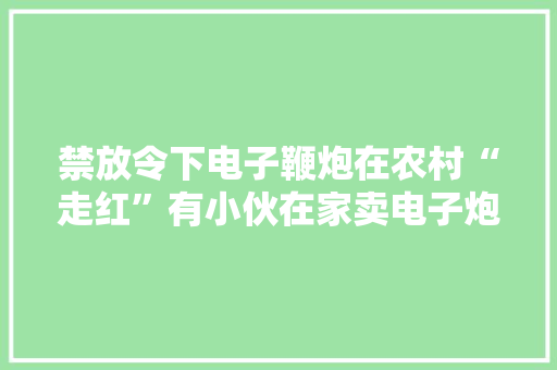 禁放令下电子鞭炮在农村“走红”有小伙在家卖电子炮一礼拜能赚两三千