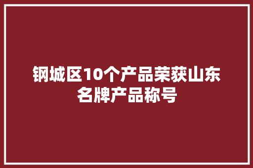 钢城区10个产品荣获山东名牌产品称号