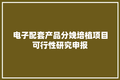 电子配套产品分娩培植项目可行性研究申报