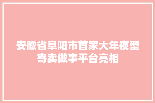 安徽省阜阳市首家大年夜型寄卖做事平台亮相