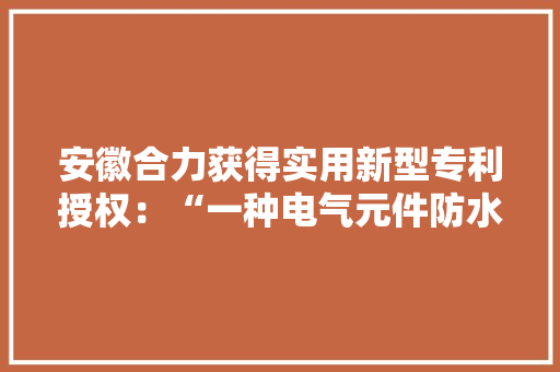 安徽合力获得实用新型专利授权：“一种电气元件防水机能检测装配”