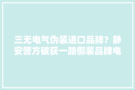 三无电气伪装进口品牌？静安警方破获一路假装品牌电气产品案