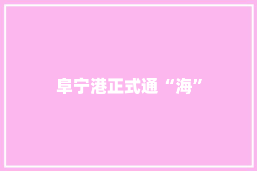 阜宁港正式通“海”