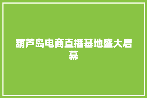 葫芦岛电商直播基地盛大启幕
