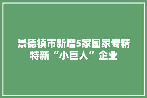 景德镇市新增5家国家专精特新“小巨人”企业 景德镇市新增5家国家专精特新“小巨人”企业 人工智能