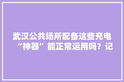 武汉公共场所配备这些充电“神器”能正常运用吗？记者探访→