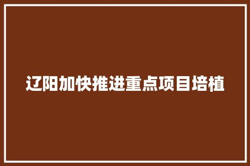 辽阳加快推进重点项目培植